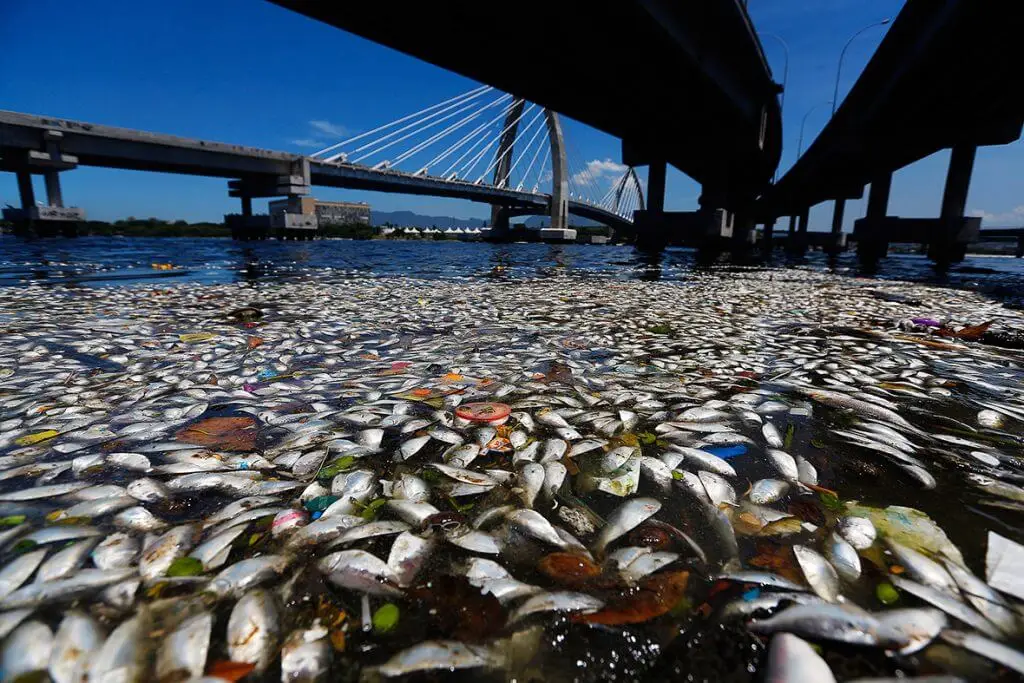 rio de janeiro pollution6 1024x683