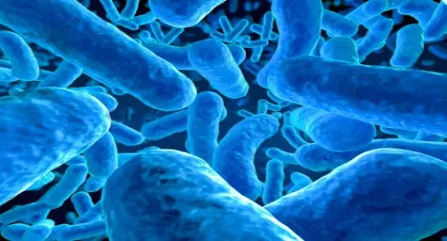 microbes.jpg