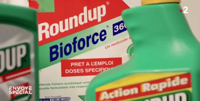 Glyphosate 24 01 2019