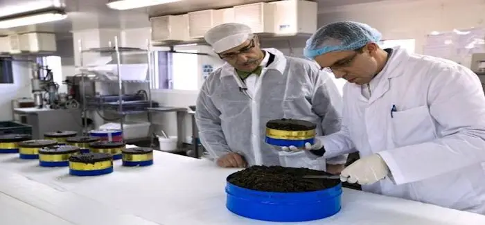 caviar.jpg