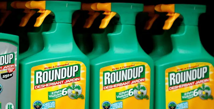 Roundup 22 03 2019