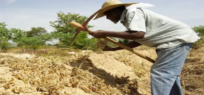 Culture_afrique_09_05_2014.jpg