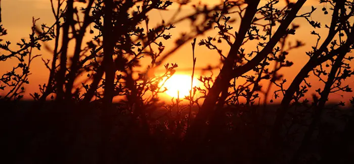Soleil 29 06 2016