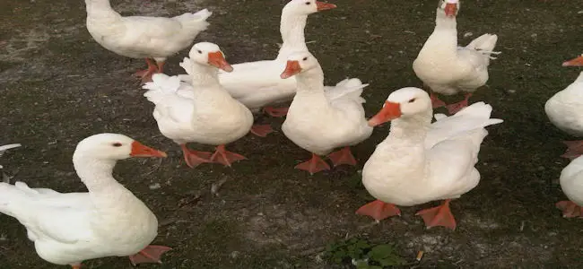 IMG00014-20120819-1952.jpg
