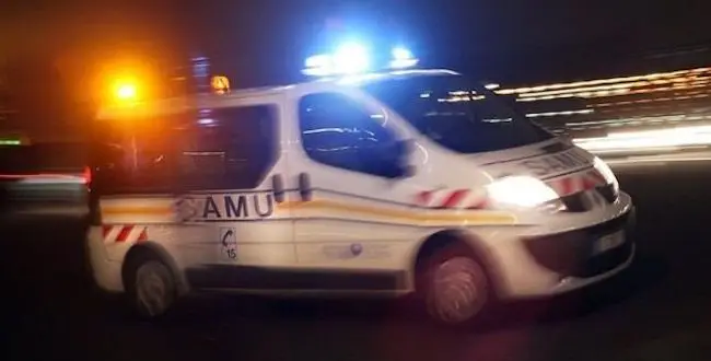 samu_ecoli.jpg