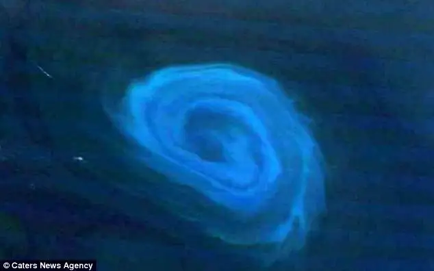 vortex ser.jpg
