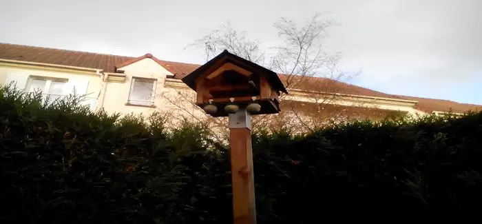 maison_oiseaux_tonton_18_11_2015.jpg