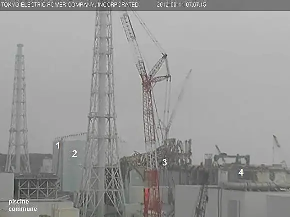 tepcam2.jpg