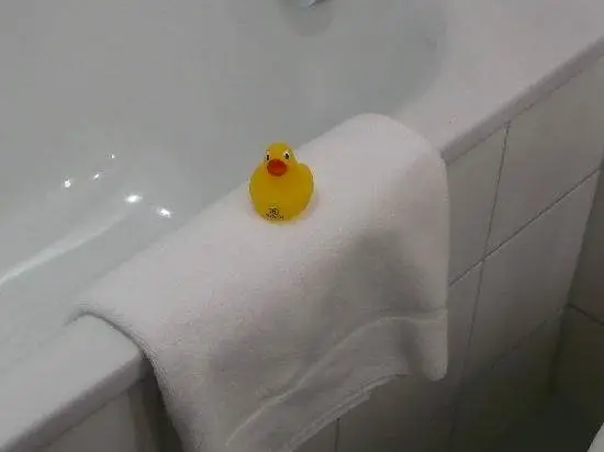 canard-et-baignoire.jpg