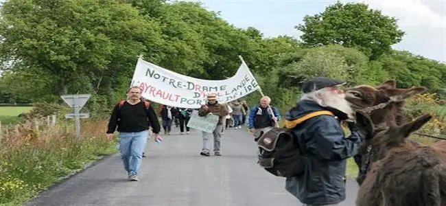 NDL_12_05_2013.jpg