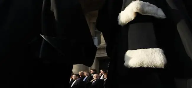 avocats.jpg