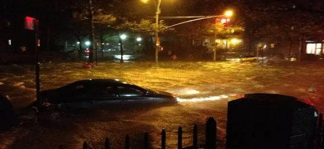 sandy_rue_new_york.jpg