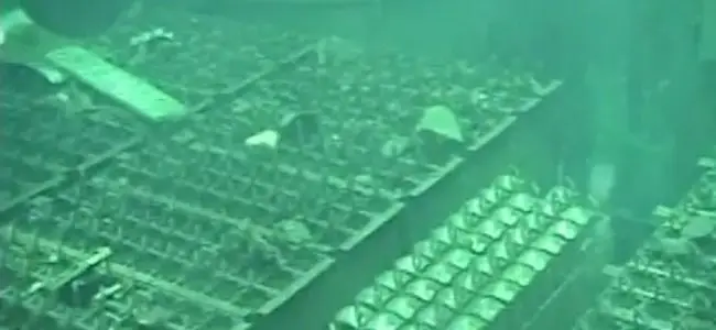 pool_4_Fukushima_25_04_2013.jpg