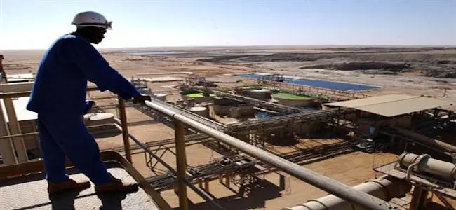 Areva_niger.jpg