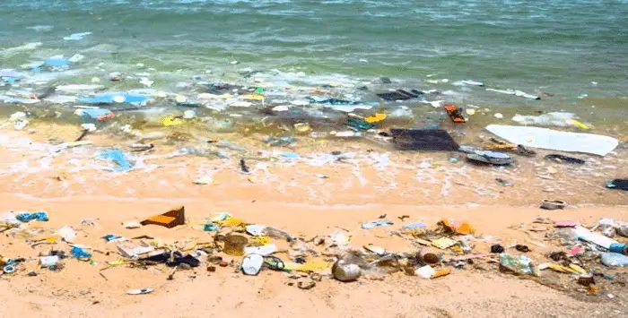 Polution plastique accord 15 05 2019