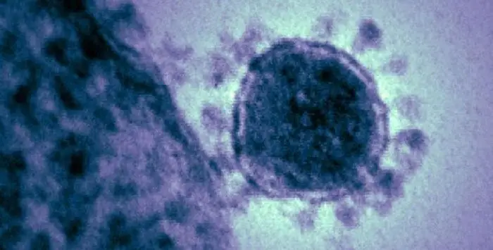 Coronas virus 08 02 2020