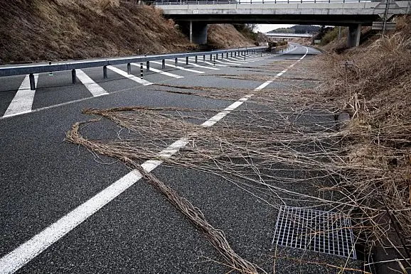 FukuAutoroute13.jpg