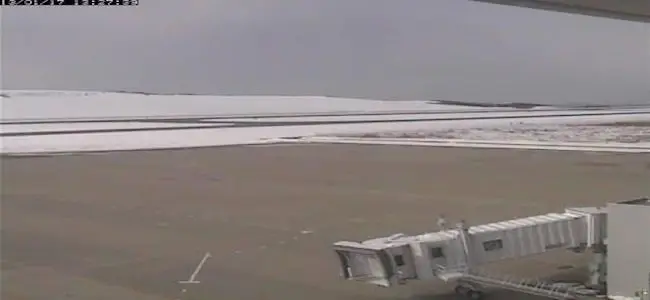 Fukushima_gel.jpg