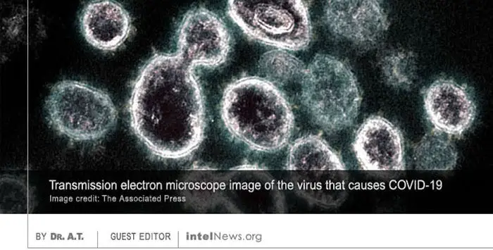Coronavirus 24 03 2020