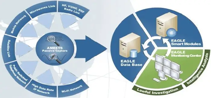 Eagle_20_03_2014.jpg