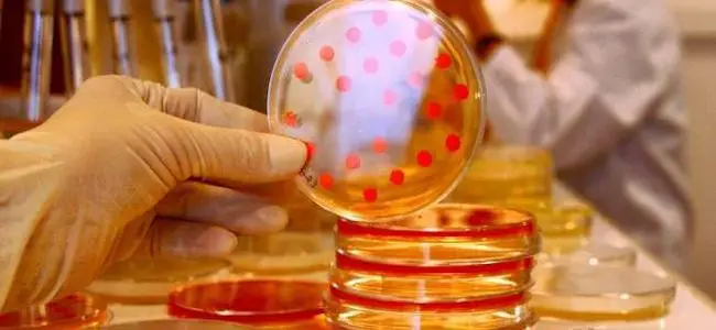 recherche_antibiotique_21_05_2013.jpg
