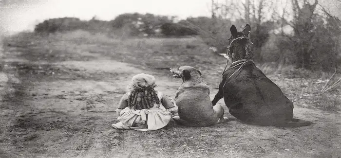 enfant chien cheval
