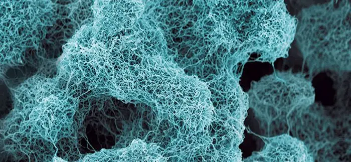 nano_23_07_2014.jpg