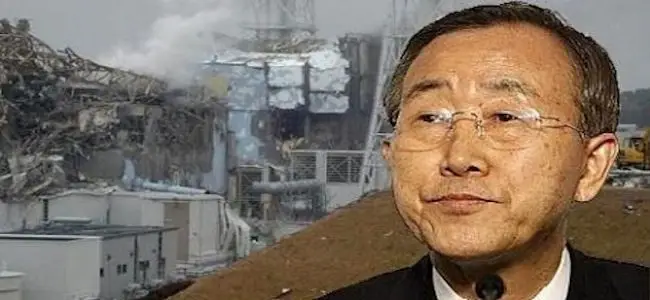 tepco_petition_piscine4.jpg