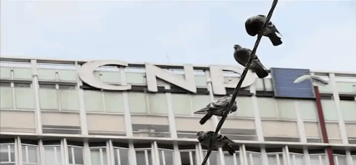 CNP_21_01_2016.png