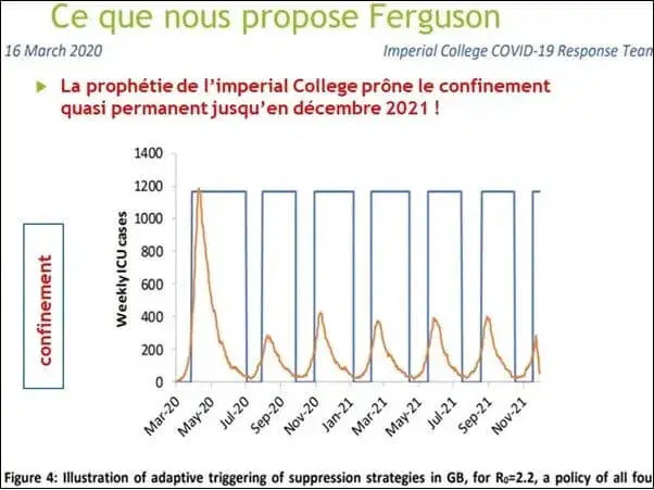 Ferguson cadre