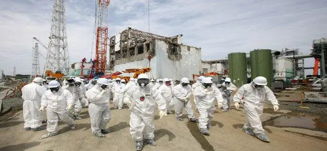 tepco_admit_it.jpg