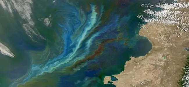 geoengineering_project.jpg