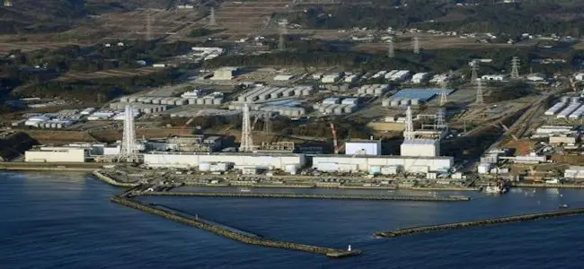 fukushima_25_04_2013.jpg