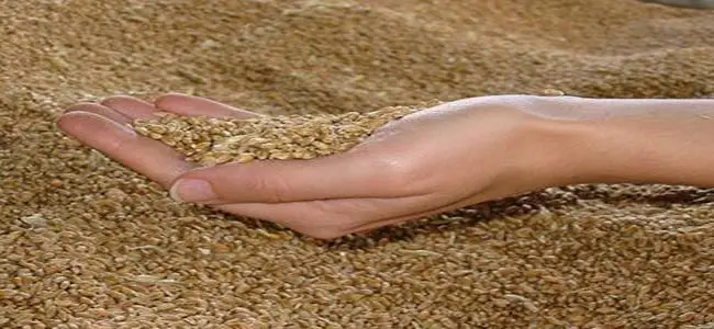 crise_alimentaire_onu.jpg