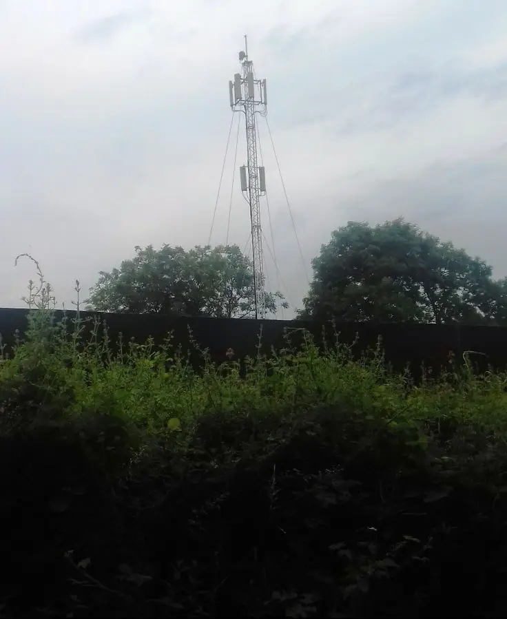 mast 2 e1561497430840