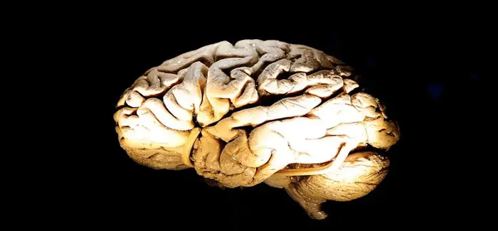 Brain_23_10_2015.png