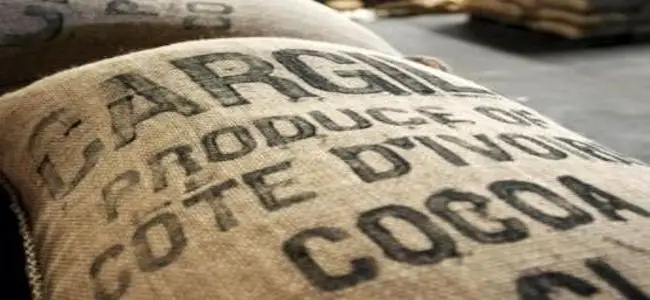 cacao.jpg