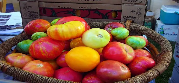 tomates_bio_12_05_2015.jpg