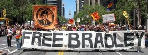 free_bradley_31e2f.jpg