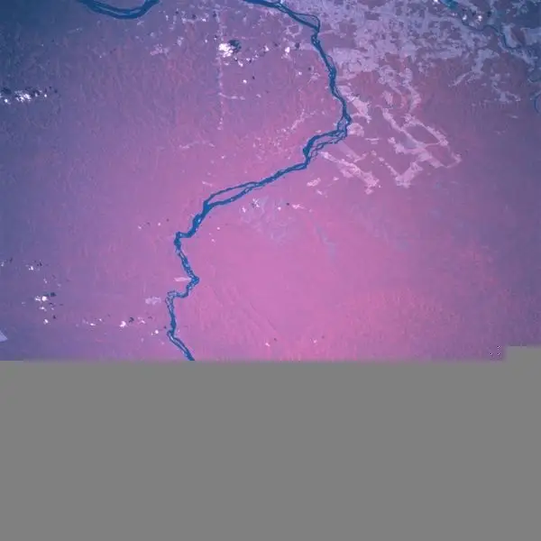 600px-Rio_Xingu.jpg