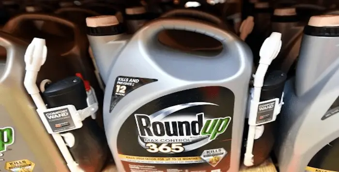 Round up 360 15 01 2019