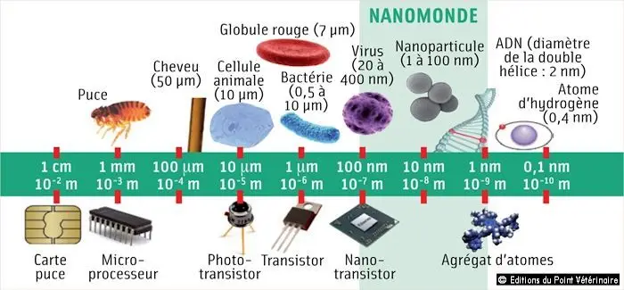 nano_monde_15_05_2014.jpg