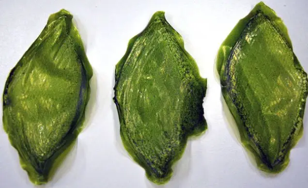 fs0yutxtassagn7p2o3i.jpg