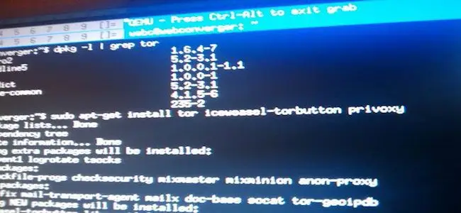 Tor.jpg