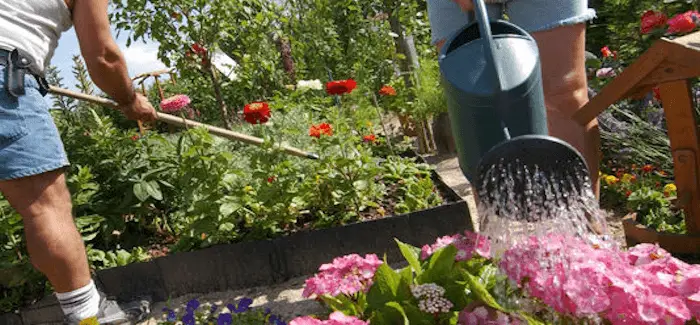 Jardin 04 05 2016