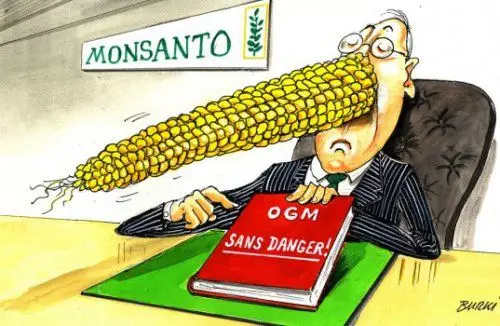 burki-monsanto_0-537x350-82960.jpg