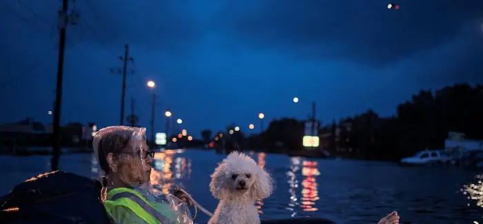 Harvey 29 08 2017
