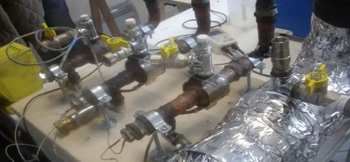 E_cat_15_10_2014.jpg